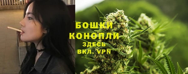 эйфоретик Зерноград
