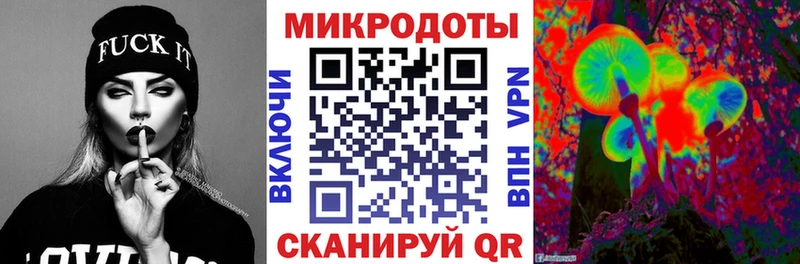 Купить где  Демидов  Галлюциногенные грибы Cubensis 